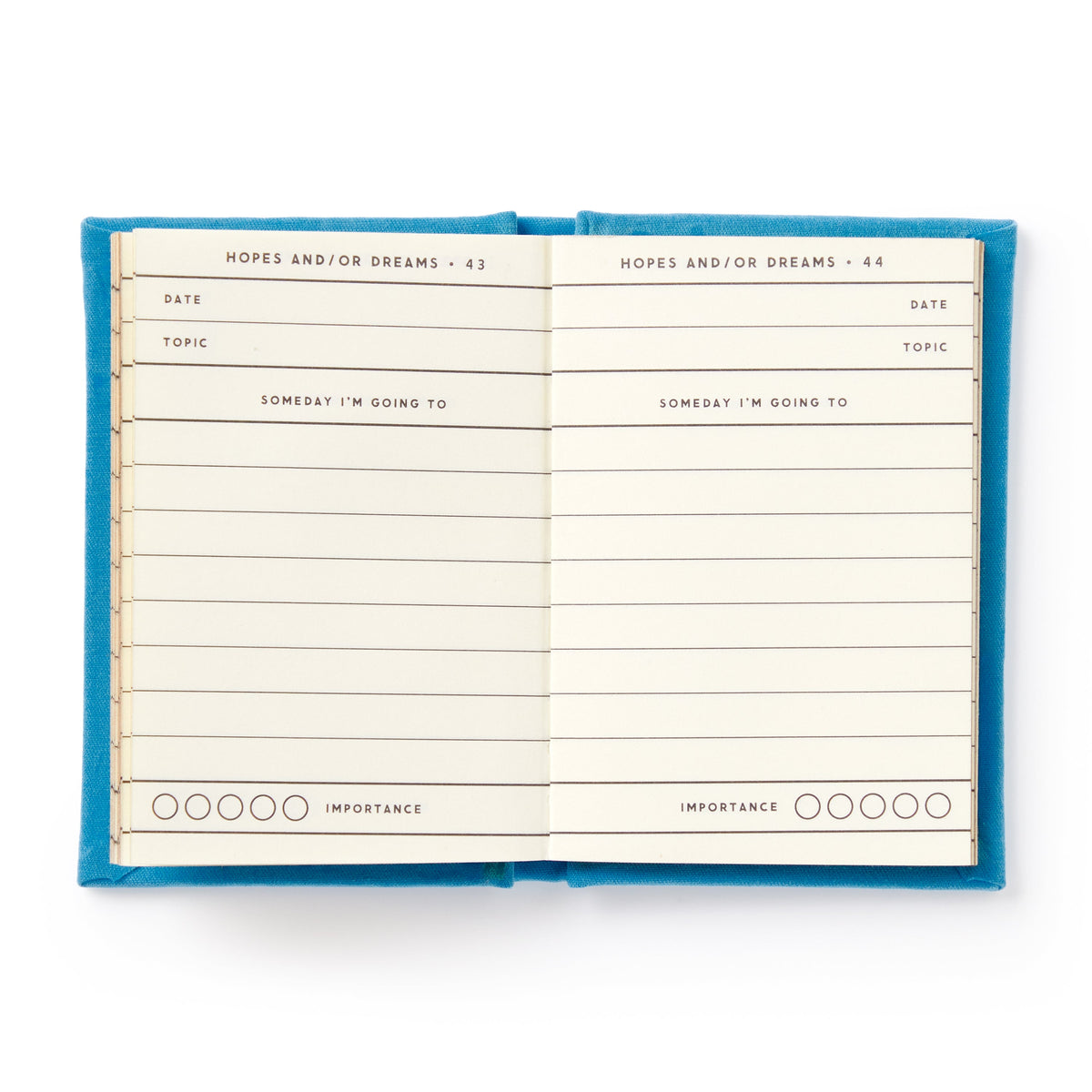 Tiny Hopes and Dreams Tiny Diary - image 3