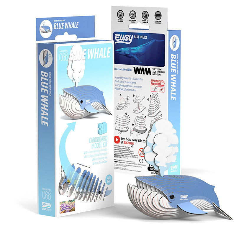 Eugy 3D Model Kit | Blue Whale