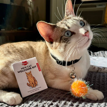 Kiko New Cat Welcome Kit - Image 3