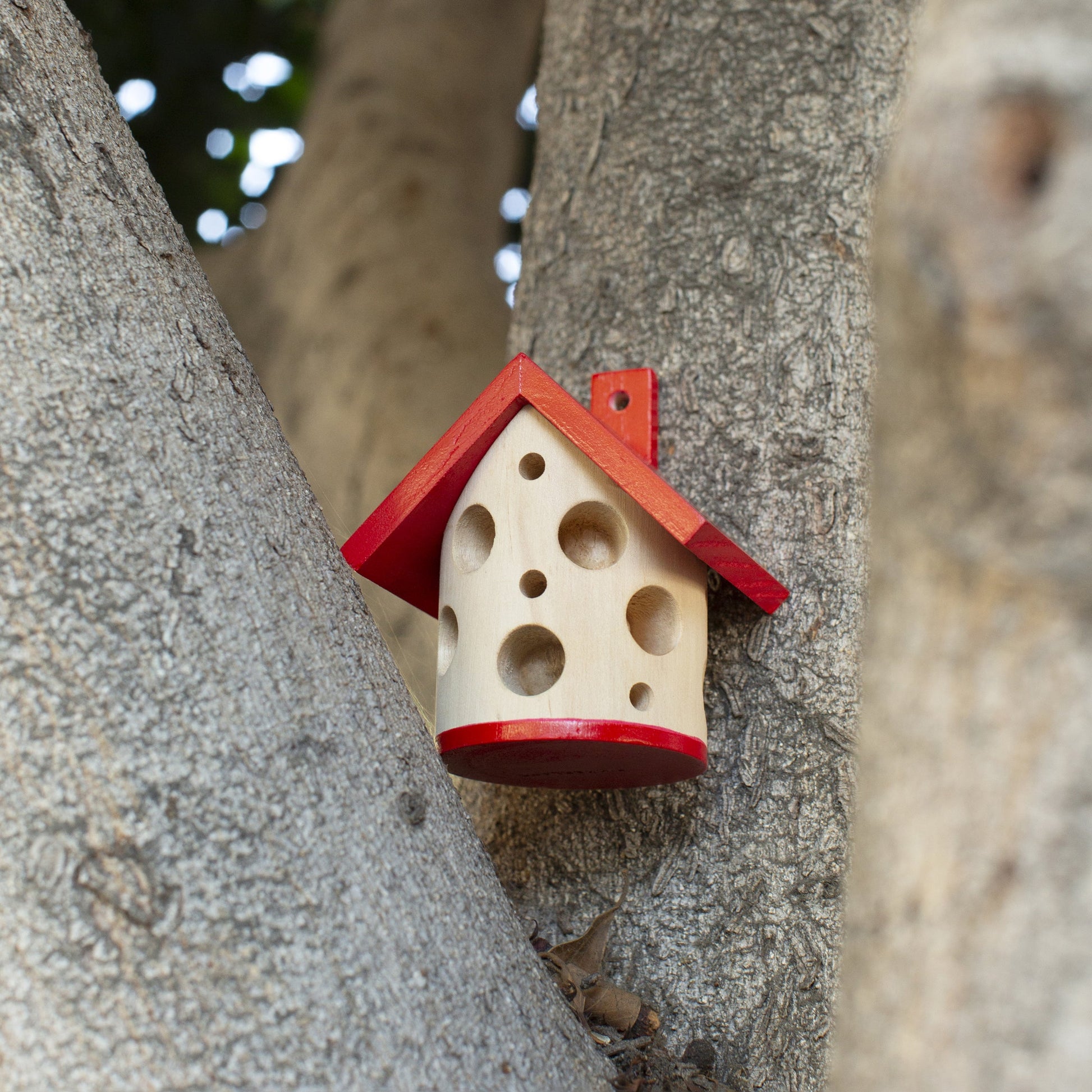 Ladybug House - Image 4