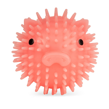 Piggy Dog Ball - Image 1
