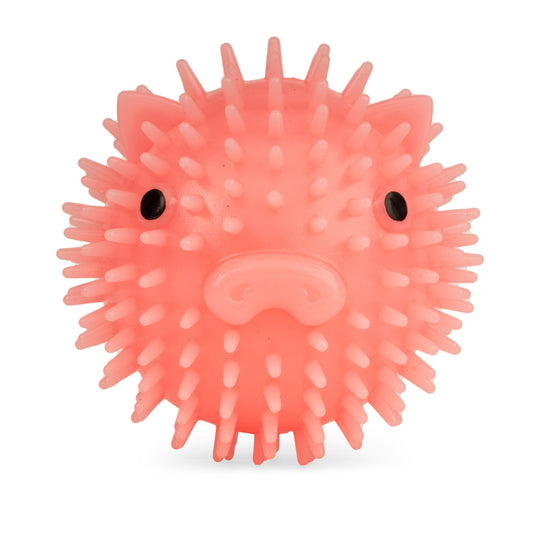 Piggy Dog Ball - Image 1