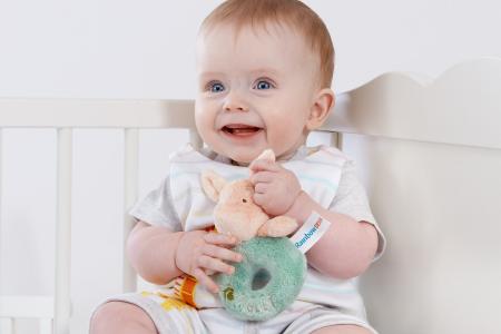 Hundred Acre Wood Piglet Ring Rattle - Image 3