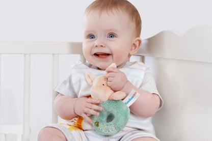 Hundred Acre Wood Piglet Ring Rattle - Image 3