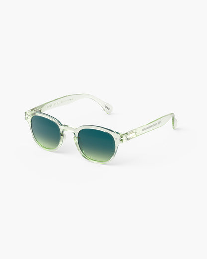 IZIPIZI Sunglasses #C Green Fields Polarised - image 4