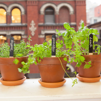 Garden Seed Markers - Reusable  - Image 3