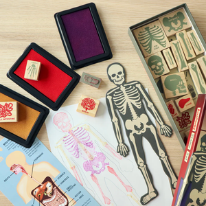 Kikkerland - Stamp Set | DIY Human Body Anatomy Stamp Set