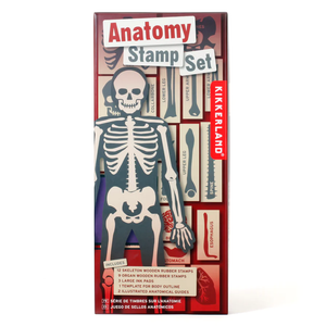 Kikkerland - Stamp Set | DIY Human Body Anatomy Stamp Set