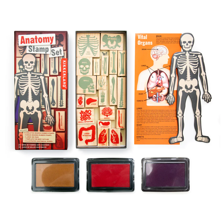 Kikkerland - Stamp Set | DIY Human Body Anatomy Stamp Set