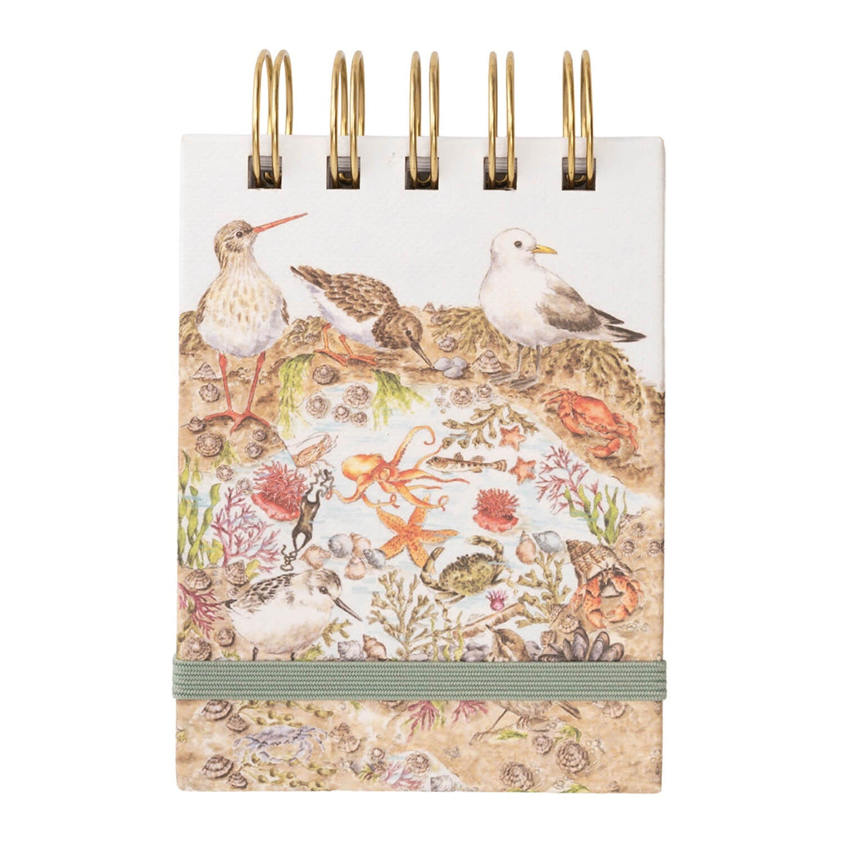 Wrendale Designs Nature Field Notebook - Secrets of the Sea