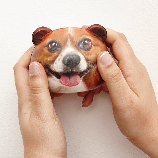 Feeling Ruff? Dog Stress Balls - Image 2
