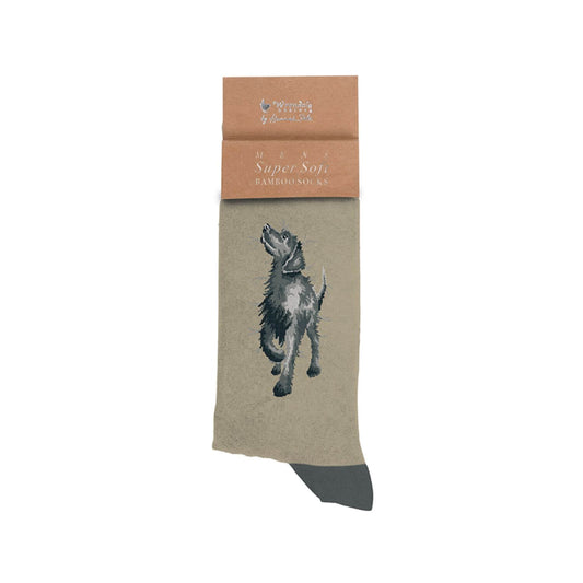 Wrendale Designs Men's Bamboo Socks - Walkies Labrador