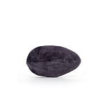 Jellycat Soft Toy | Sensational Seafood Mussel