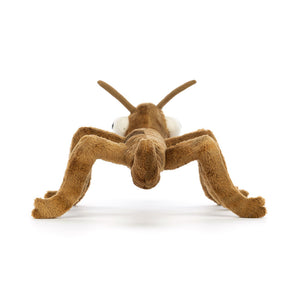 Stanley Stick Insect Official Jellycat Soft Toy