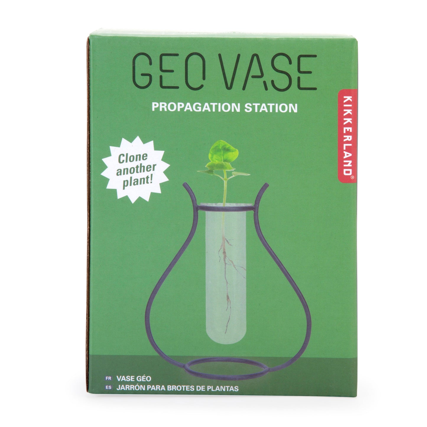 Geo Vase Propagation Station - Image 3