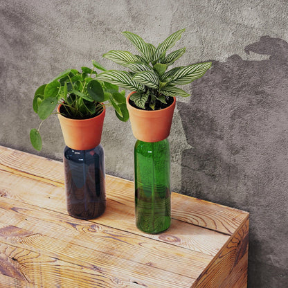 Kikkerland - Planter | Bottle Herb Planter