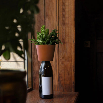 Kikkerland - Planter | Bottle Herb Planter