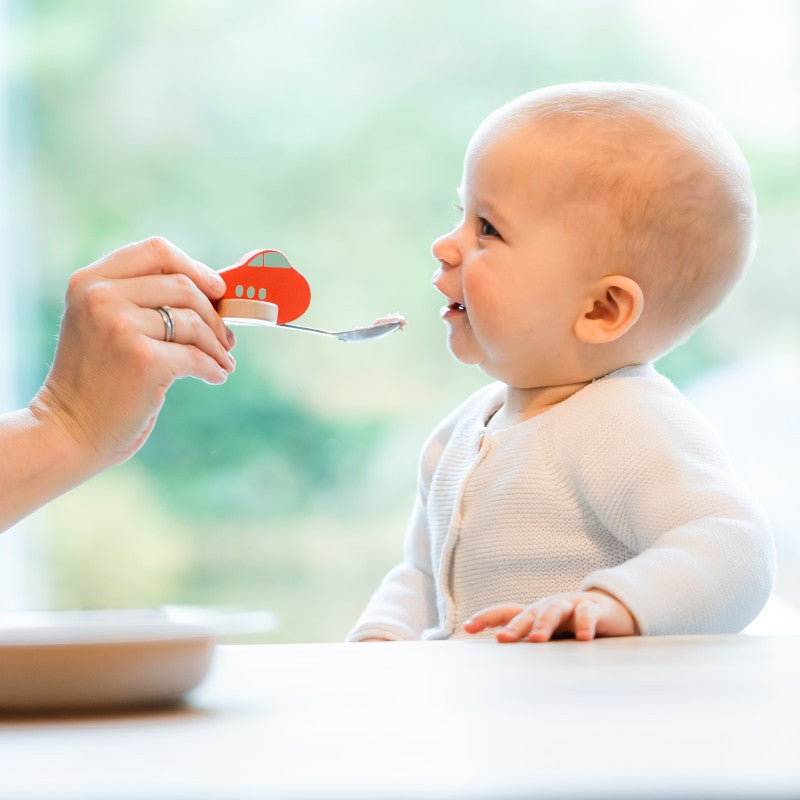 Donkey - Spoon | Wooden Airplane Spoon | Red