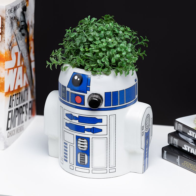 
            
                Load image into Gallery viewer, Paladone - Pots | R2D2 Pen and Plant Pot
            
        