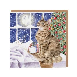 Wrendale Designs Christmas Card - Christmas Stars Cat