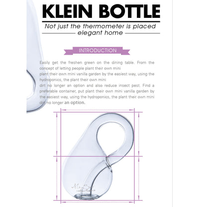 Klein Bottle Large in Handcrafted Glass Scientific Gift