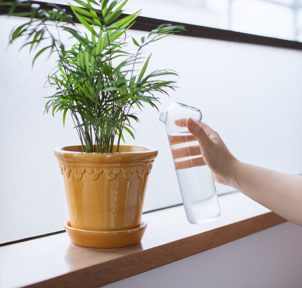 Plant Buddy Watering Can Borosilicate Glass