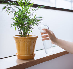 Plant Buddy Watering Can Borosilicate Glass