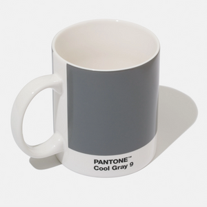 Pantone Mug Cool Gray 9 White Fine China