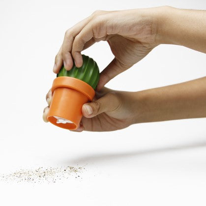 Salt Grinder or Pepper Grinder Cactus in Orange and Green