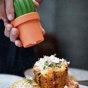 Salt Grinder or Pepper Grinder Cactus in Orange and Green