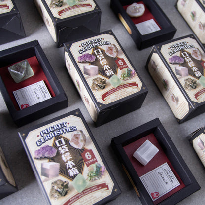 XXQL Mr.Sci Pocket Curiosit