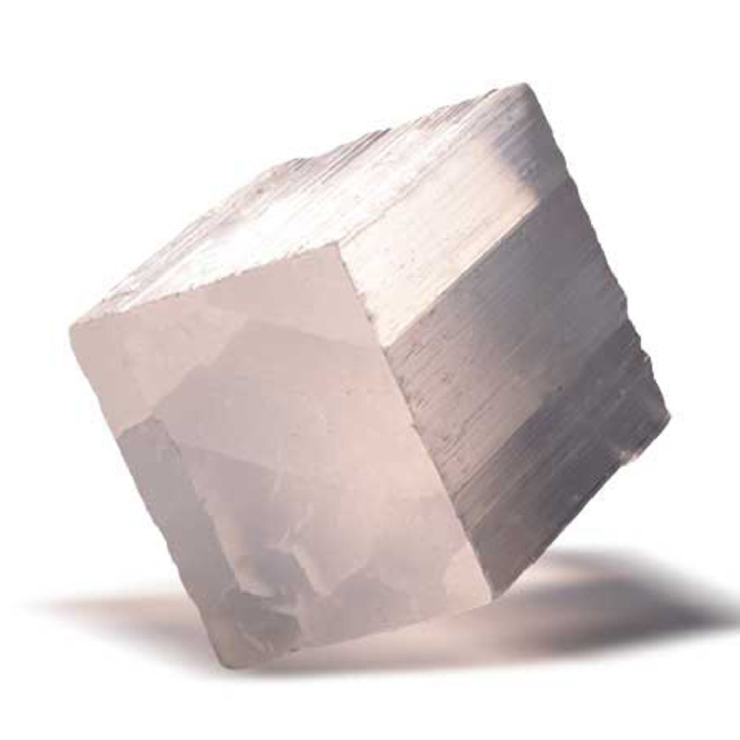 XXQL Mr.Sci Pocket Curiosit