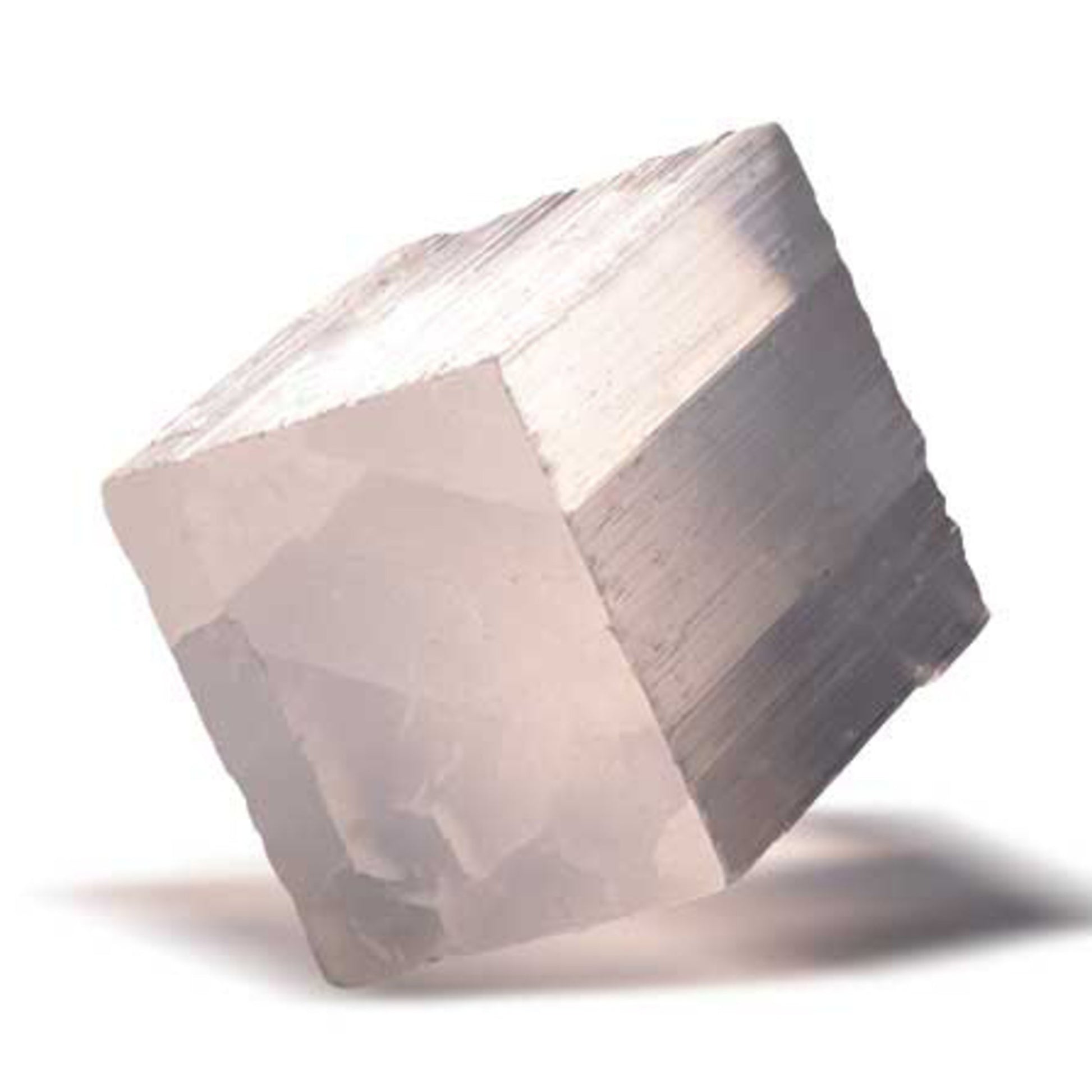 XXQL Mr.Sci Pocket Curiosit