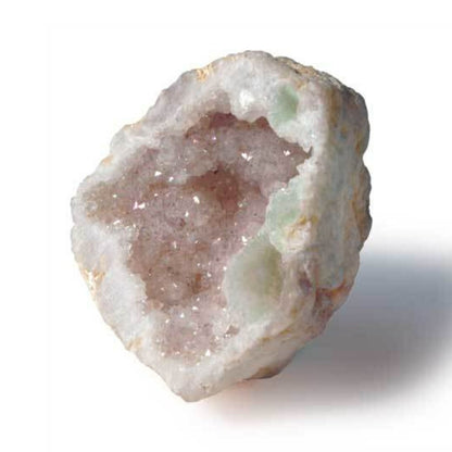 XXQL Mr.Sci Pocket Curiosit