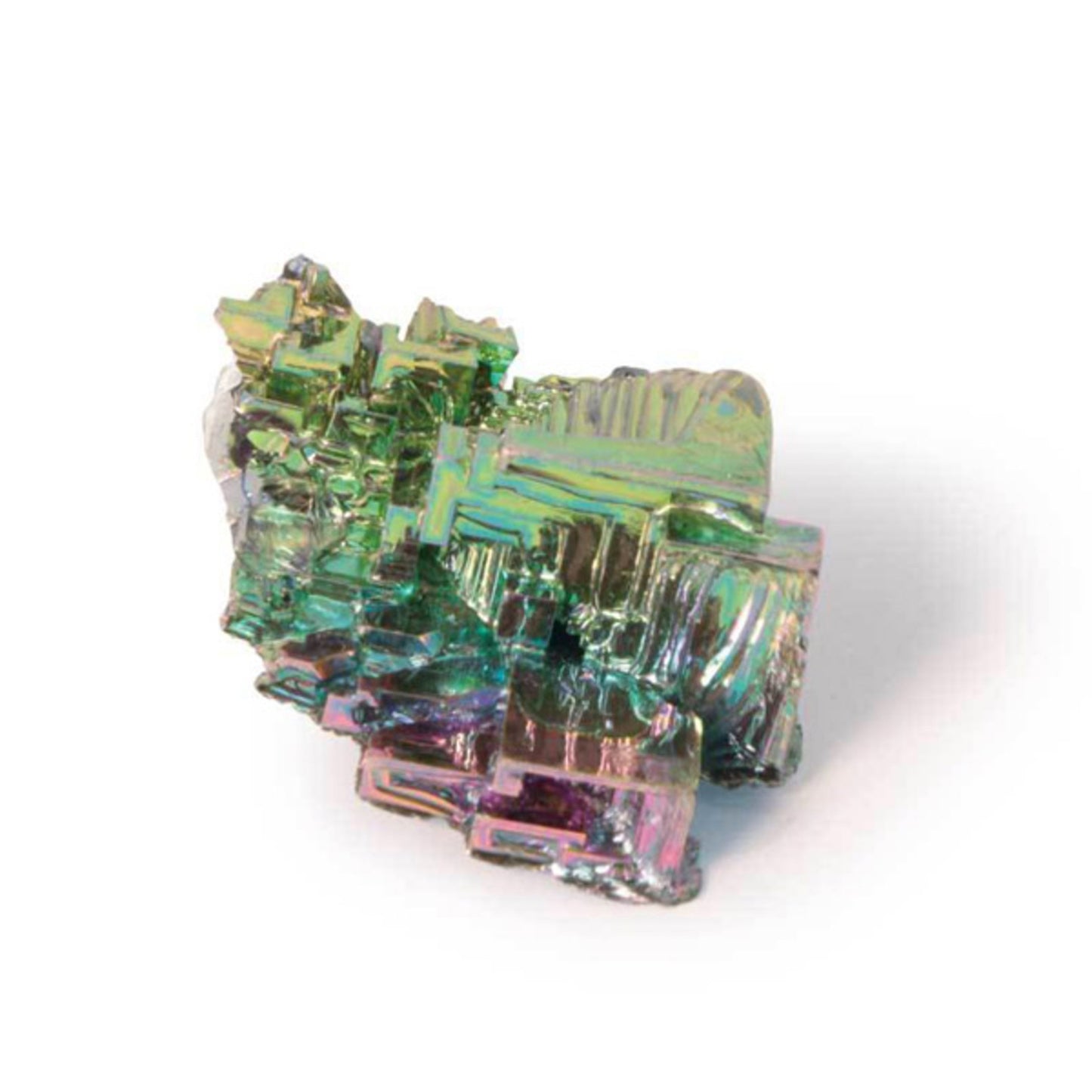 XXQL Mr.Sci Pocket Curiosit