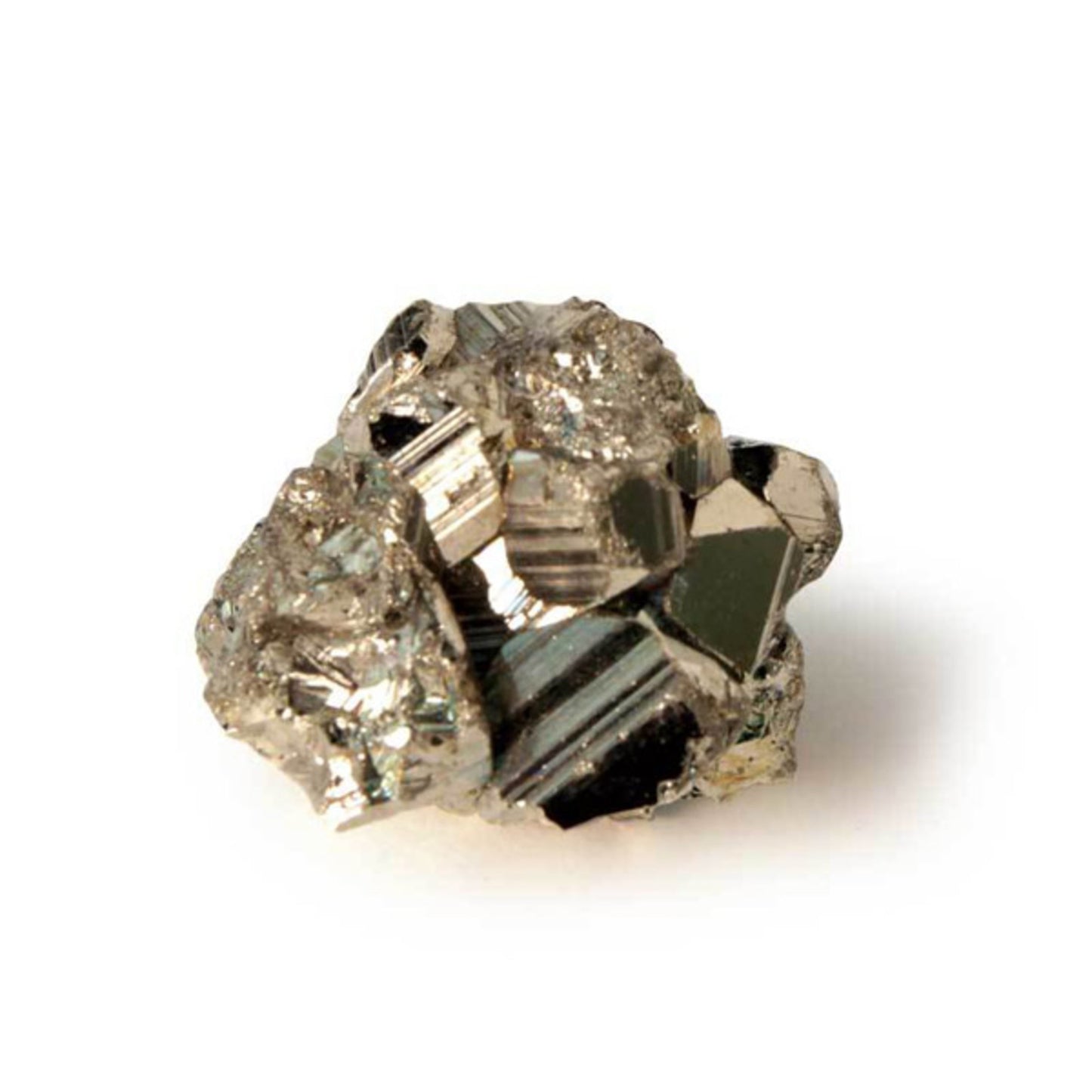 XXQL Mr.Sci Pocket Curiosit