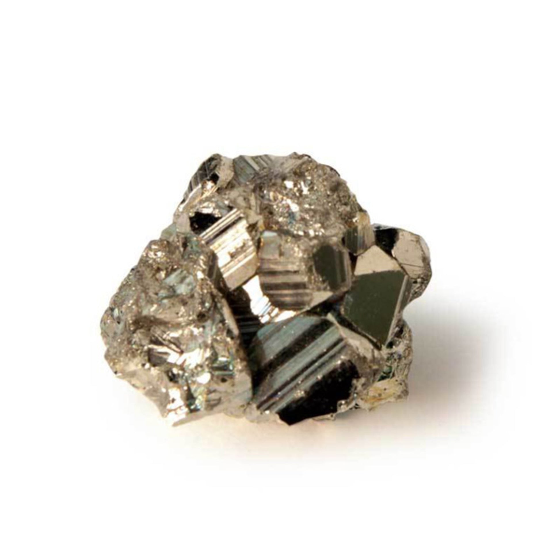 XXQL Mr.Sci Pocket Curiosit