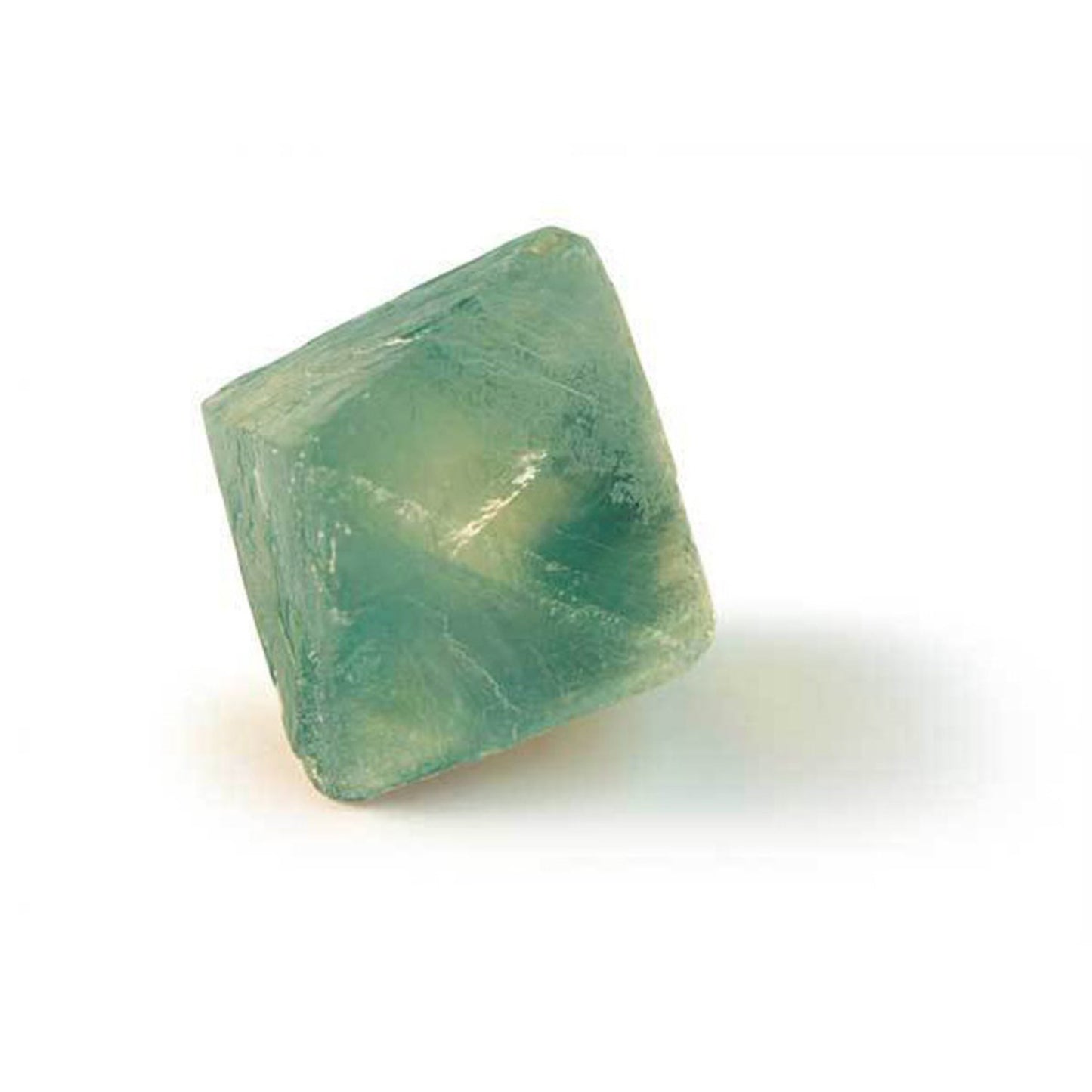 XXQL Mr.Sci Pocket Curiosit