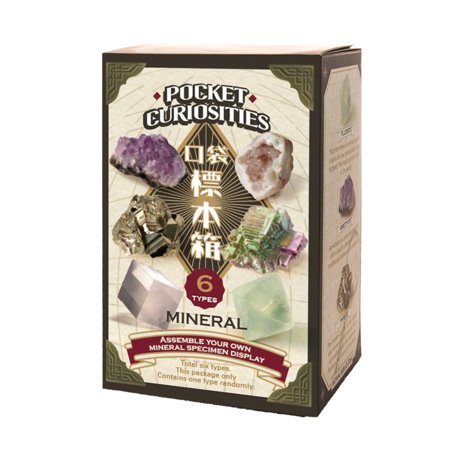 XXQL Mr.Sci Pocket Curiosit