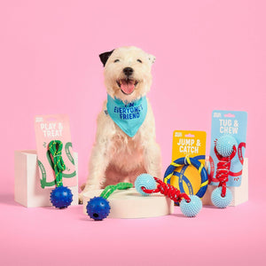 Dog Toy Play & Treat