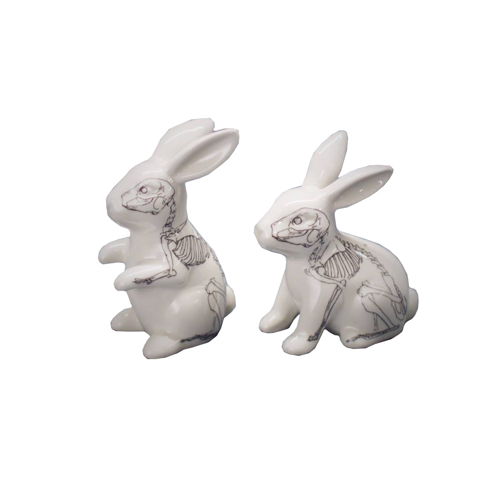 Salt and Pepper Shakers in Anatomical Rabbit shapes in white