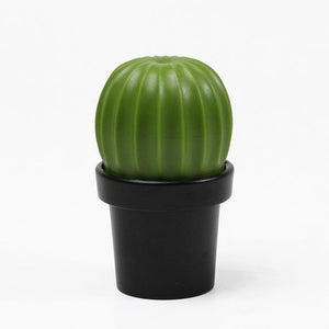 Salt Grinder or Pepper Grinder Cactus in Black and Green