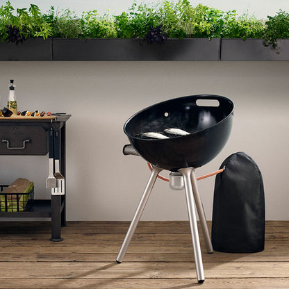 Gas Barbecue Grill BBQ Fireglobe in Black