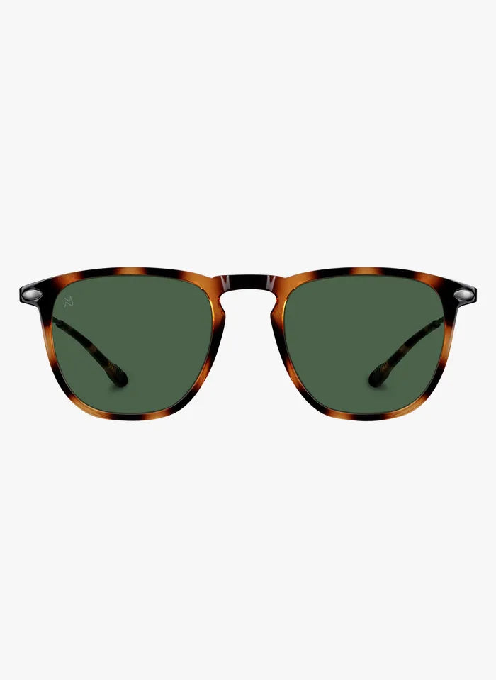 Sunglasses Dino Nooz Tortoise