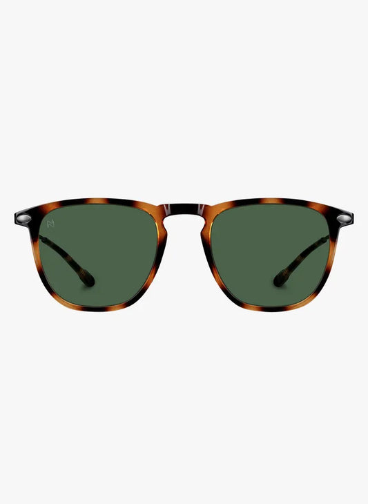Sunglasses Dino Nooz Tortoise