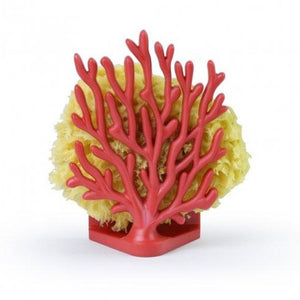 Sponge Holder - Coral Red
