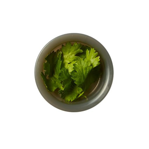 Lunch Box Original Olive White and Green 1 Litre