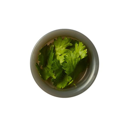 Lunch Box Original Olive White and Green 1 Litre