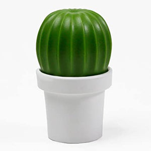 Salt Grinder or Pepper Grinder Cactus in White and Green