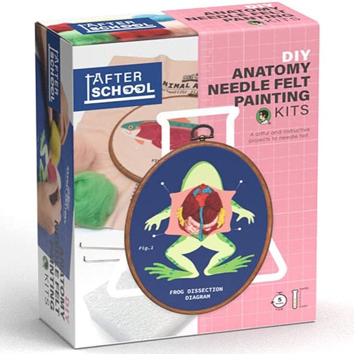 DIY Stitch Anatomy Frog Fish Sewing Kit Embroidery with Frame